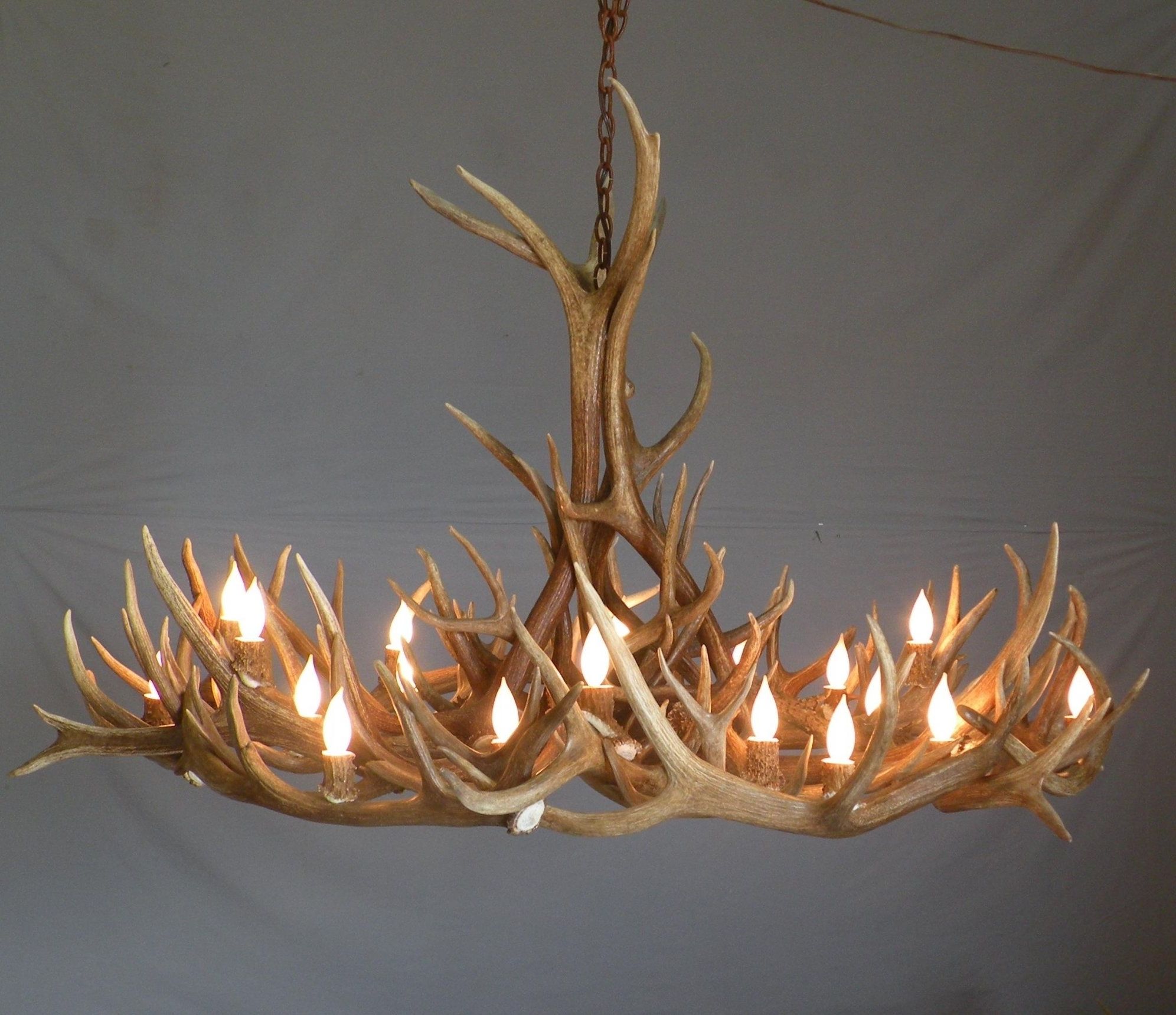 Antlers Chandeliers Pertaining To Current Rustic Antler Chandeliers (Photo 1 of 15)