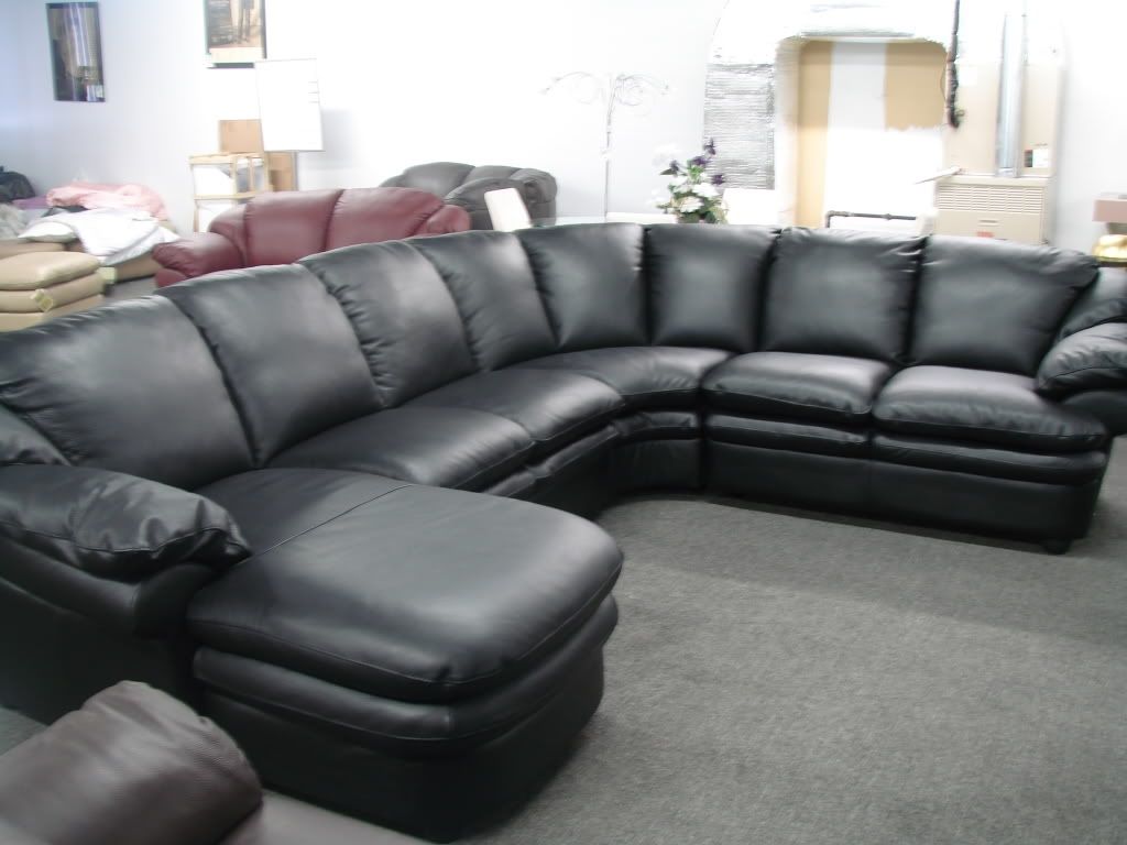 Black Sectionals With Chaise Inside Newest Cozy Black Leather Sofas For Elegant Living Room : Gorgeous (View 12 of 15)
