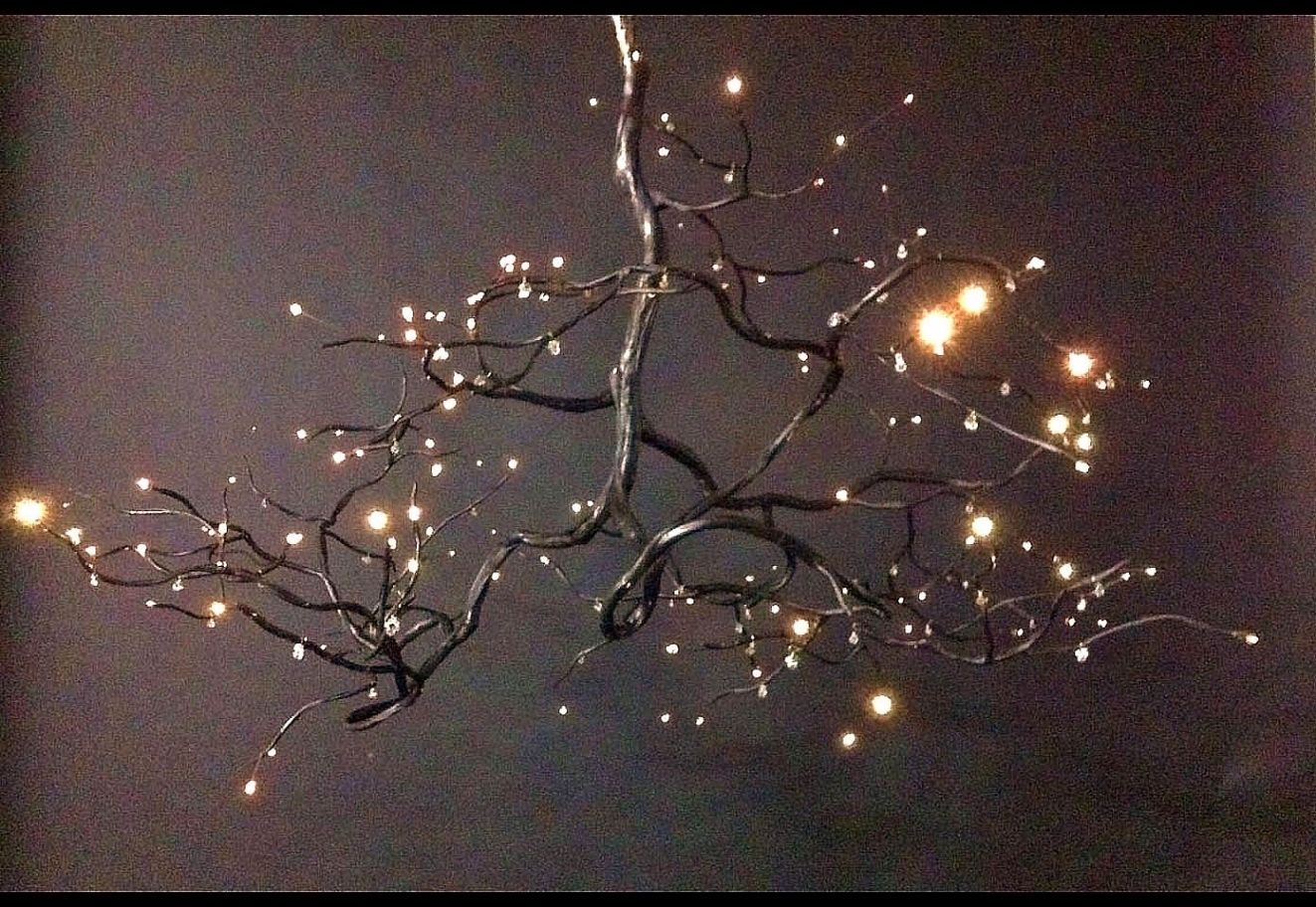 Chandeliers Design : Wonderful Tree Branch Chandelier Lighting For Popular Branch Chandeliers (View 6 of 15)