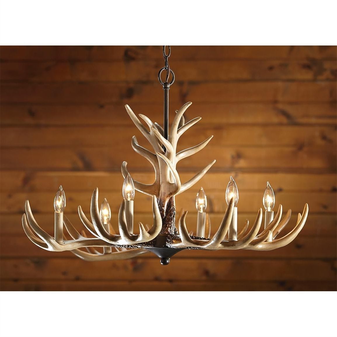 Most Current Castlecreek 6 Light Whitetail Antler Chandelier – 226091, Lighting For Antler Chandeliers And Lighting (Photo 1 of 15)