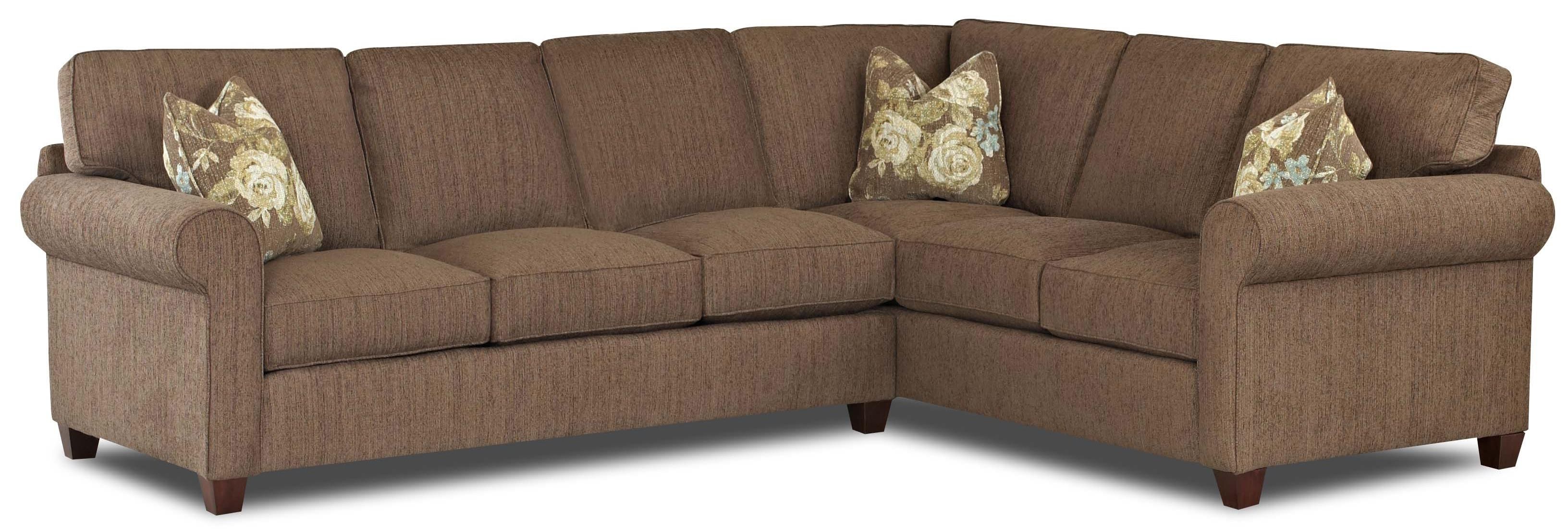 Most Recently Released Lancaster Pa Sectional Sofas In Transitional 2 Piece Sectional Sofa With Weltklaussner (View 1 of 15)