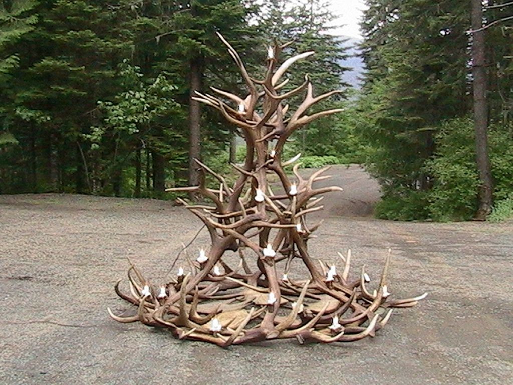 Featured Photo of 15 Collection of Large Antler Chandelier