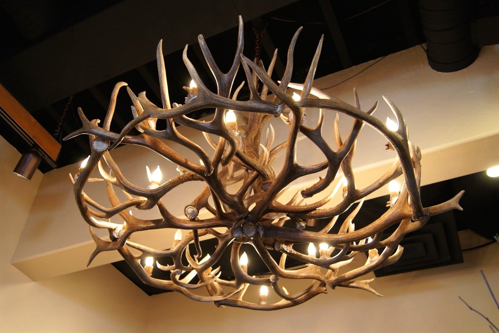 Best And Newest Turquoise Antler Chandeliers In Chandeliers Design : Fabulous Unique Antler Chandelier Wonderful (View 4 of 15)