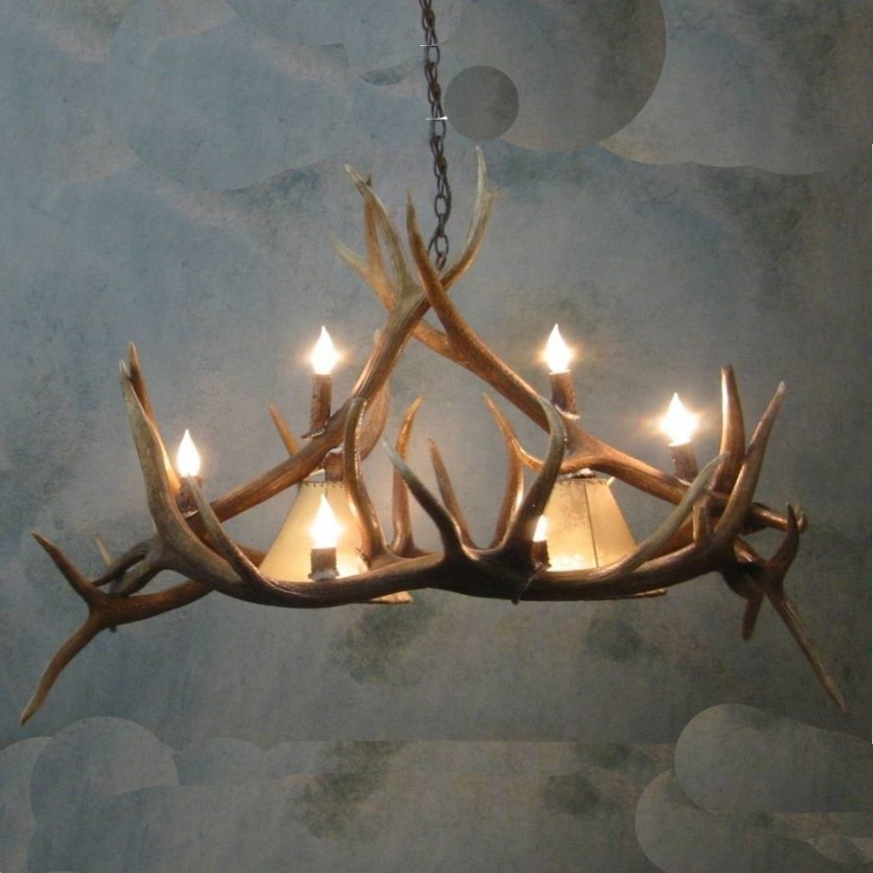 Featured Photo of 15 Best Ideas Turquoise Antler Chandeliers