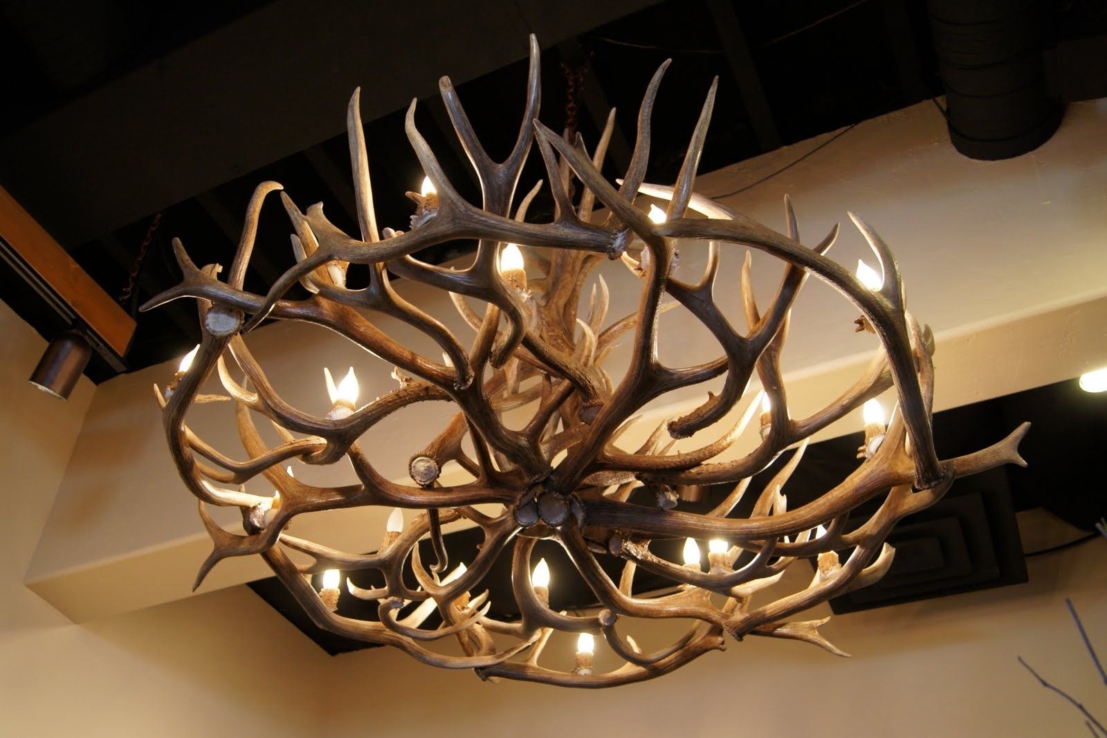 Dining Room: Unique Interior Lighting Design With Awesome Antler Inside Well Known Modern Antler Chandelier (Photo 10 of 15)