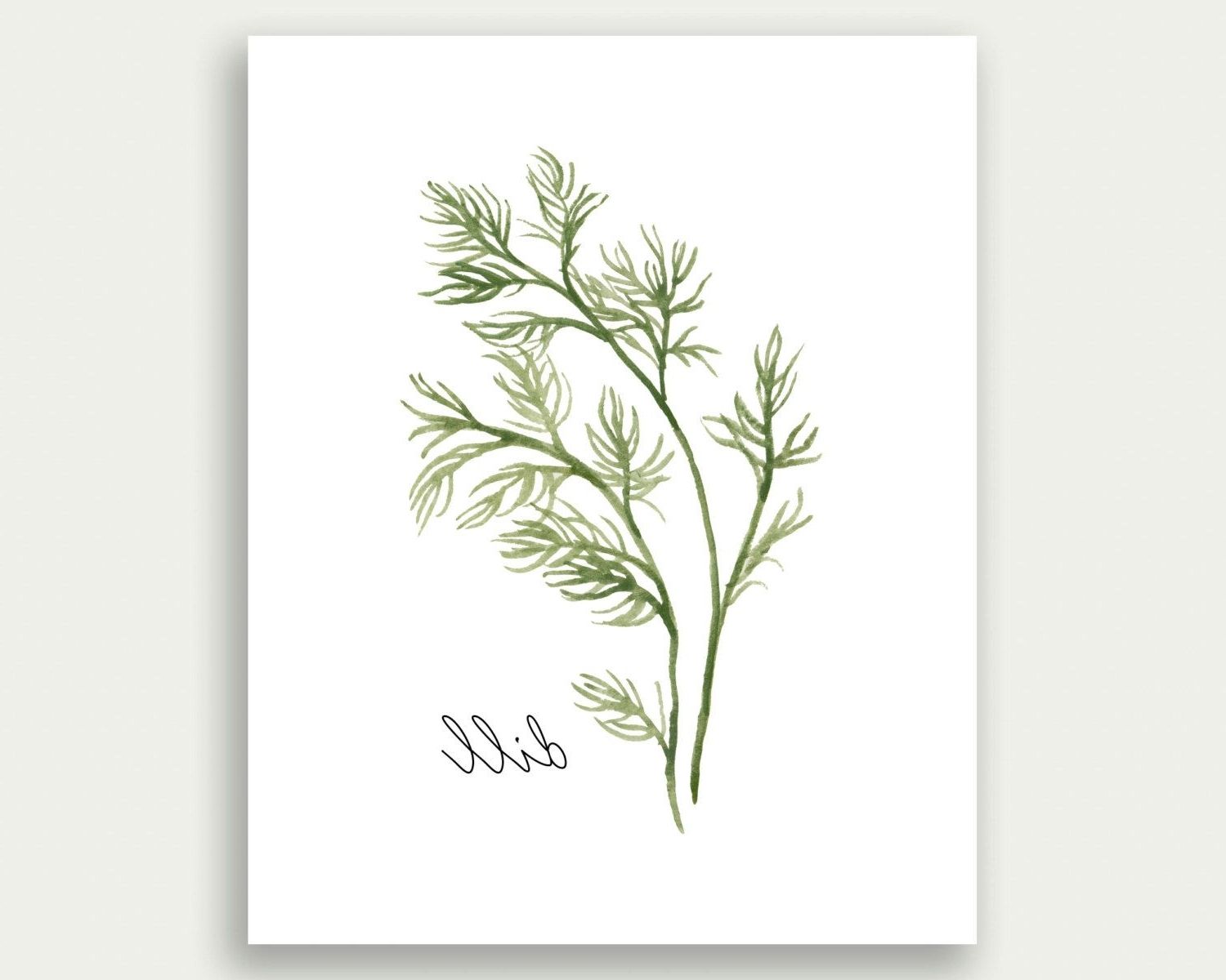 Most Current Herbs Printable, Dill Printable, Herbs Wall Art, Herbs Print, Dill With Regard To Herb Wall Art (View 1 of 15)