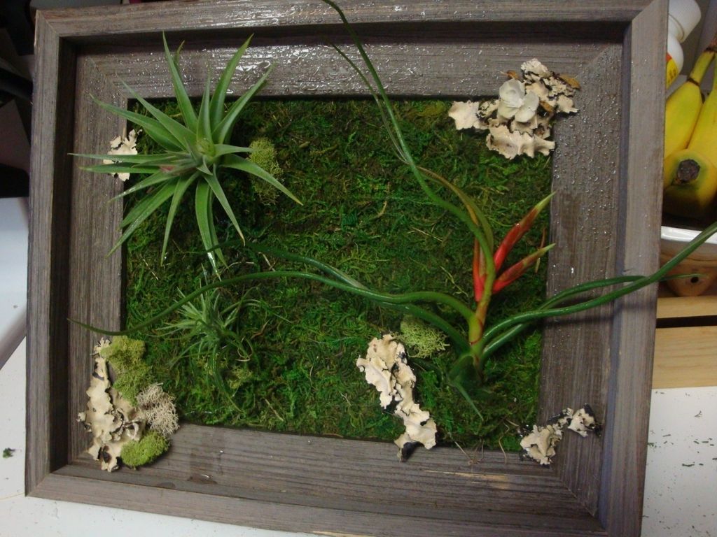 Newest Living Wall Art: 3 Steps (with Pictures) Pertaining To Living Wall Art (Photo 1 of 15)