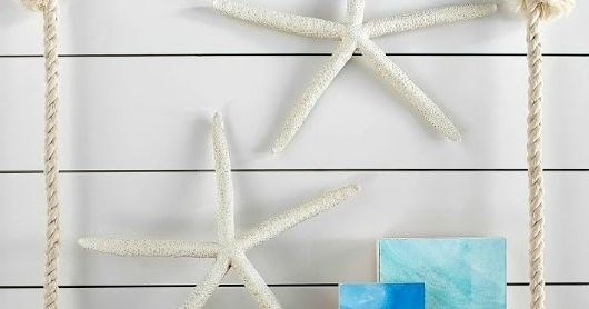 Best And Newest Large Starfish Wall Decors In Large Starfish & Sand Dollar For Wall Decor – Coastal Decor Ideas (View 7 of 15)