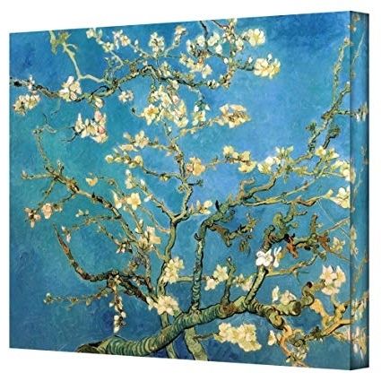 Most Current Almond Blossoms Vincent Van Gogh Wall Art In Amazon: Art Wall Almond Blossomvincent Van Gogh Gallery (Photo 1 of 15)