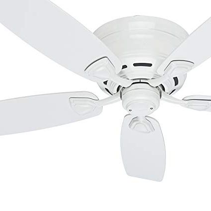 Most Recent Hinter Fan 48" Outdoor Hugger Ceiling Fan In White With 5 White Regarding Outdoor Ceiling Fans With Plastic Blades (View 7 of 15)