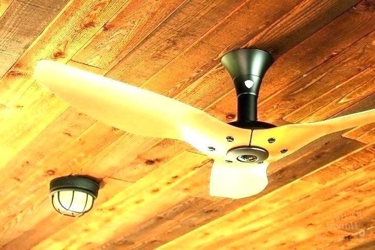 Most Up To Date Outdoor Ceiling Fans With Motion Sensor Light Within Best Light Bulbs For Outdoor Use Ceiling Fans With Regular Light (View 14 of 15)