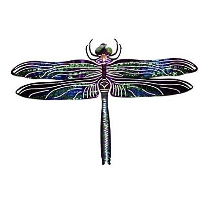 Popular Amazon : Next Innovations Dragonfly Refraxions 3d Wall Art Regarding Dragonfly 3d Wall Art (Photo 1 of 15)