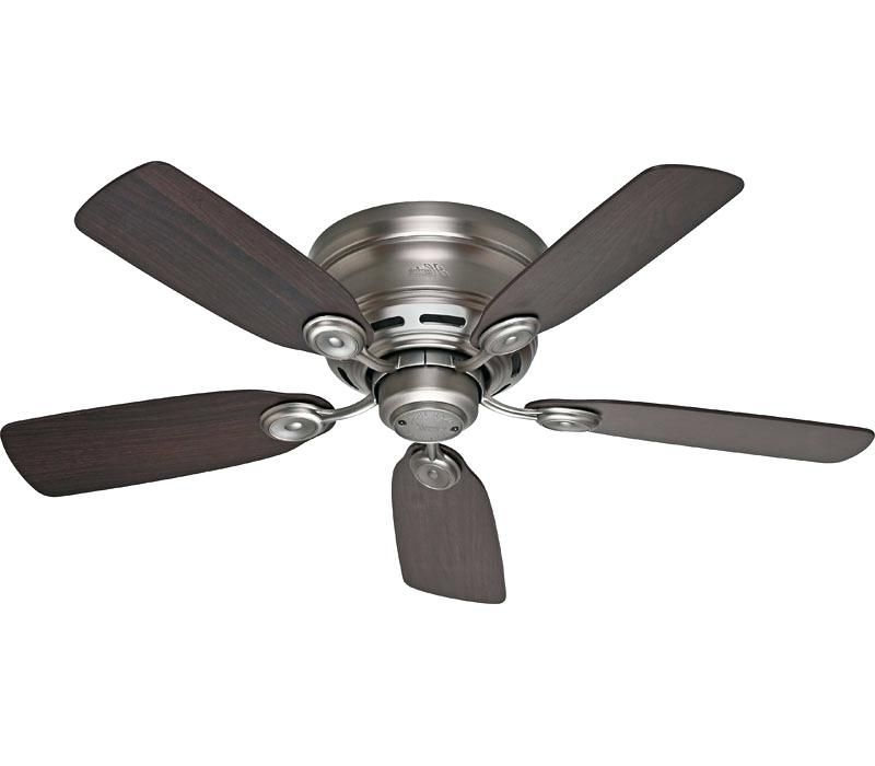 Recent Hunter Outdoor Ceiling Fans With White Lights For Hunter Outdoor Ceiling Fans Hunter Outdoor Ceiling Fan Cm White (View 11 of 15)