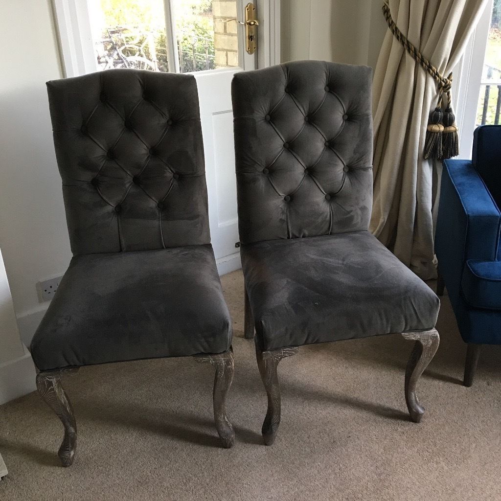 Fashionable Luxury Grey Velvet Dining Chairs India Jane (View 14 of 25)