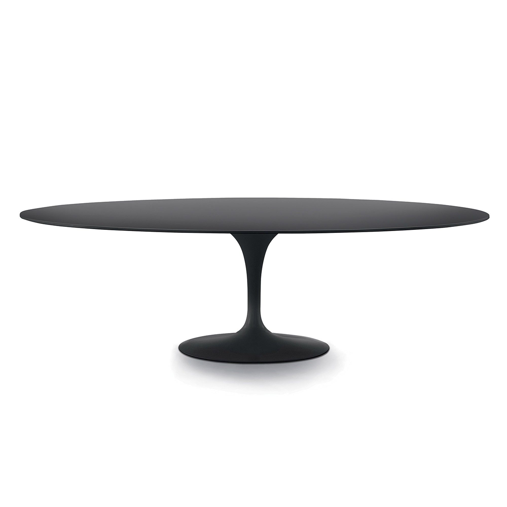 Saarinen Oval Dining Table (View 5 of 25)