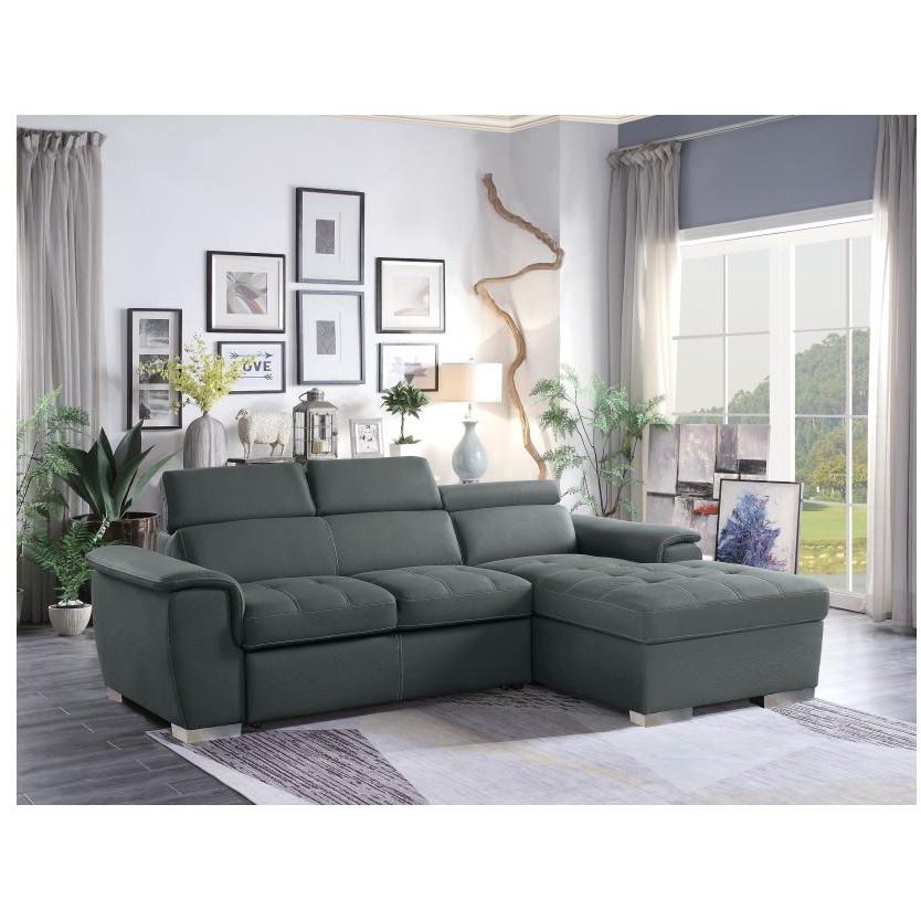 Current Gray Sectional Sofa With Pullout Sofa Bed And Left Side In Palisades Reclining Sectional Sofas With Left Storage Chaise (Photo 13 of 25)