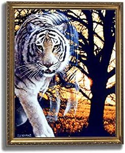 Amazon: Wild Spirit White Bengal Tiger Animal Wildlife Inside Widely Used Tiger Wall Art (View 7 of 15)