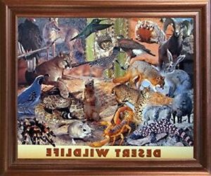 Desert Inn Framed Art Prints Regarding Favorite Wildlife Desert Animals Collage Kids Room Wall Art Decor (View 10 of 15)