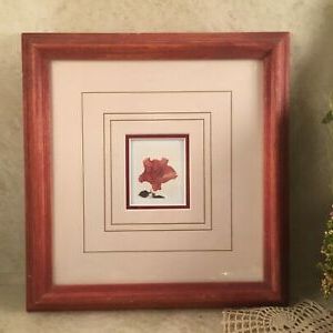 Flower Framed Art Prints In Trendy Framed Floral Rose Print Double Matted Wall Picture (View 14 of 15)