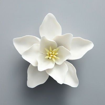 Flowers Wall Art Pertaining To 2018 Handmade White Ceramic Magnolia Flower 3D Wall Decor (View 3 of 15)