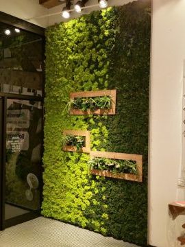 Landscape Wall Art Regarding 2018 Inspiration Moss Wall Living Art (View 9 of 15)