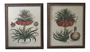 Modern Framed Art Prints In Current Lf31570Ec: Pair Large Framed Botanical Decorative Art (View 8 of 15)