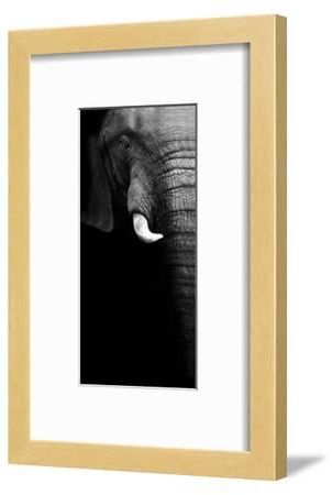 Most Current Artistic Black And White Elephant Art Print Throughout Monochrome Framed Art Prints (View 7 of 15)