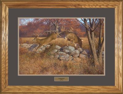 Most Recently Released Hayden Lambson Limited Edition Whitetail Framed Print Pertaining To Natural Framed Art Prints (View 8 of 15)