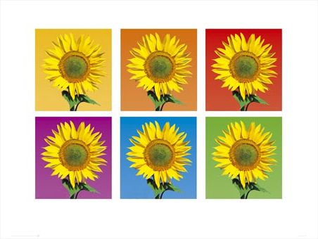 Most Up To Date Pop Art Wood Wall Art With 6 Sunflowers, Sunny Pop Art Flowers Print – Popartuk (View 10 of 15)