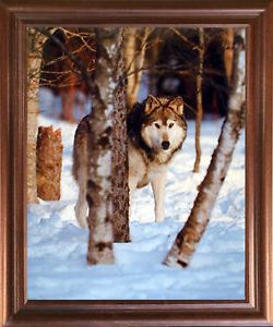 Newest Grey Wolf In Snow Animal Wildlife Art Print Mahogany For Snow Wall Art (View 4 of 15)