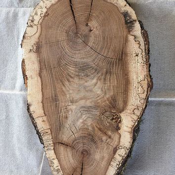 Newest Nature Wood Wall Art With Best Wood Cake Stand Products On Wanelo (View 5 of 15)