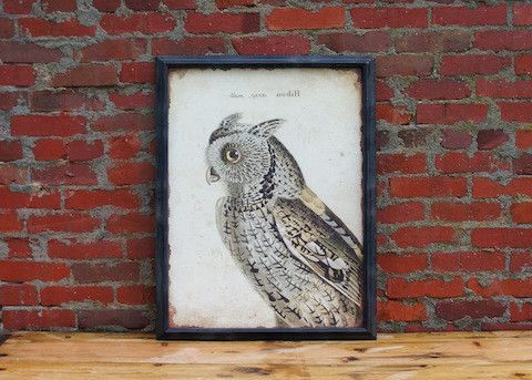 Owl Wall, Owl Art, Owl Inside The Owl Framed Art Prints (View 5 of 15)