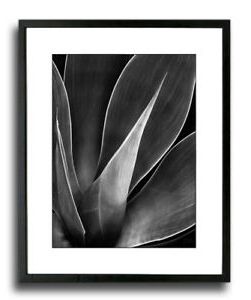 Preferred Agave No 3 – 17 X 21 Framed Art Print, Black Or White Mat With Elegant Wood Wall Art (View 14 of 15)