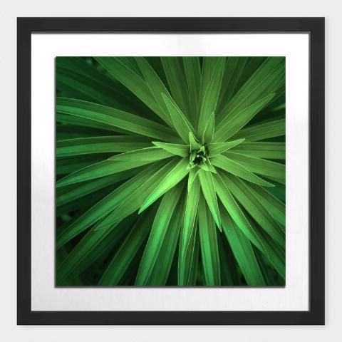 Preferred Palm Leaves Shadow Box Framed Wall Art (View 10 of 15)