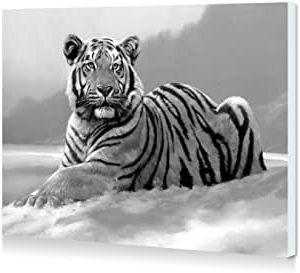 Recent Tiger Wall Art Pertaining To Amazon: White Tigers – Art Print Wall Art Frameless (View 11 of 15)