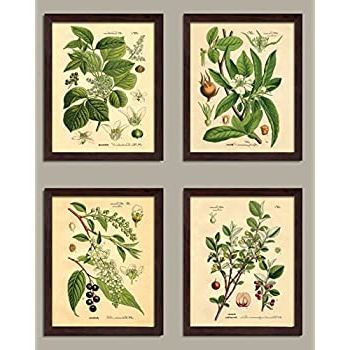 Set Of 4 Framed Gray Botanical Flower Study Prints Wall Regarding Best And Newest Lines Framed Art Prints (View 10 of 15)
