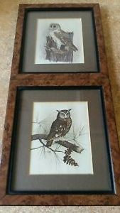 The Owl Framed Art Prints Regarding 2018 Vintage Framed Owl Lithograph Prints By. E (View 8 of 15)
