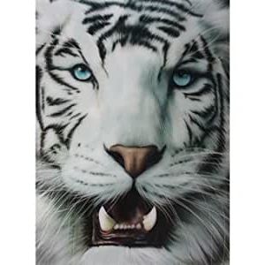 Well Known Arctic Tiger 3D Wall Art Picture: Amazon.co (View 4 of 15)