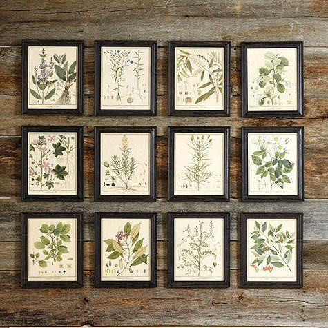Well Known Heines Botanical Framed Art (View 3 of 15)