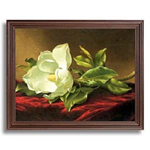 Well Known Modern Framed Art Prints Regarding Amazon: White Magnolia Floral Flower Contemporary (View 12 of 15)