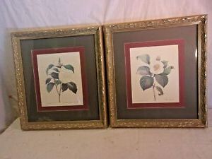 Widely Used Pair Of Framed Floral Prints 18 3/4 X 20 3/4 Holds 16X18 Throughout Flower Framed Art Prints (View 8 of 15)
