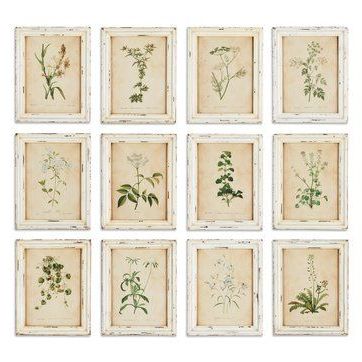 12 Piece Wall Art Throughout Most Recently Released Wild Flower Botanical 12 Piece Framed Graphic Art Set (View 11 of 15)
