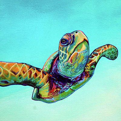 2017 Turtles Wall Art Within Sea Turtle Painting Ideas / Tortoise Sea Turtle Wall Art Prints (View 10 of 15)