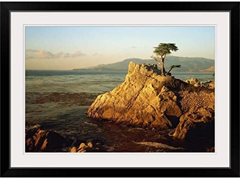 Amazon: Greatbigcanvas Lone Cypress Tree On Rocky Outcrop Black Within 2018 Cypress Wall Art (View 10 of 15)