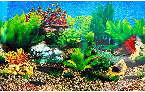 Amazon : Saim Aquarium Background Decorations Double Sided Fish With Preferred Aquarium Wall Art (View 14 of 15)