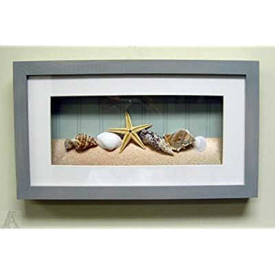 Amazon – Shell Seashell Starfish Fish Bathroom Room Shadow Box Wall With Most Up To Date Shadow Box Wall Art (View 12 of 15)