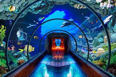 Aquarium Backgrounds, Underwater World, Mural (View 5 of 15)
