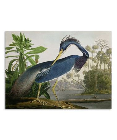 Audubon Louisiana Heron Wall Art (View 11 of 15)