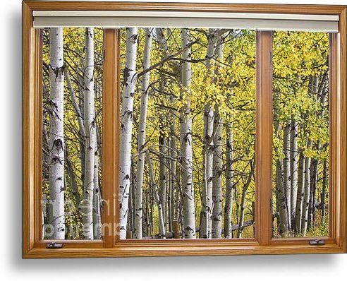 Autumn Aspen Forest Classic Wood Window View Metal Printjames Bo In Well Known Autumn Metal Wall Art (View 4 of 15)