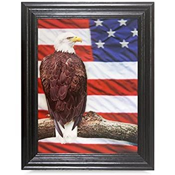 Best And Newest Amazon: Bald Eagle 3d Unframed Holographic Wall Art Lenticular Throughout Eagle Wall Art (View 6 of 15)